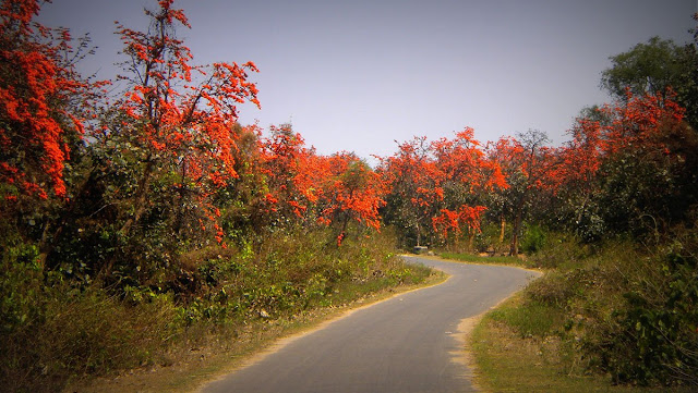purulia in fall